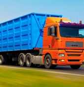 Etiam commodo convallis